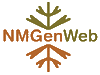 NMGenWeb logo