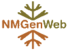 NMGenWeb Logo